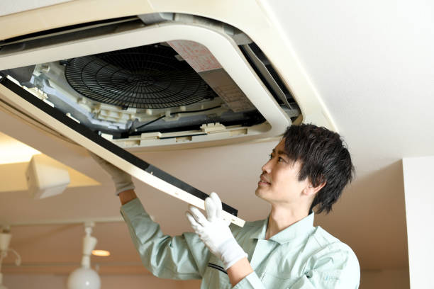 Air Duct Mold Removal in Eglin Af, FL